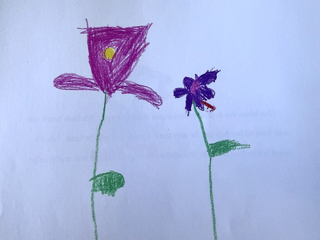 Kids drawing of flowers