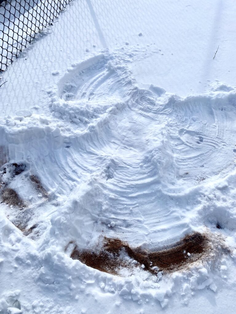 Picture of a Snow Angel
