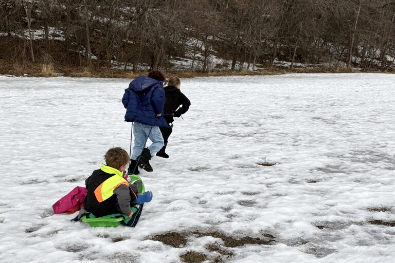 Picture of young kids playing sled dogs